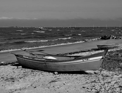 Biguau; Joo Rosa Beach. 