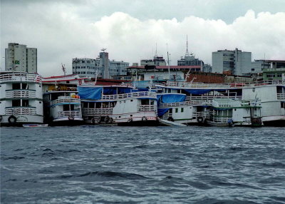 Seen from a boat, Manaus area. We started our trip to the hostel.