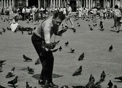 Venice : Frederico, still feeding the pigeons at San Marco Piazza. 