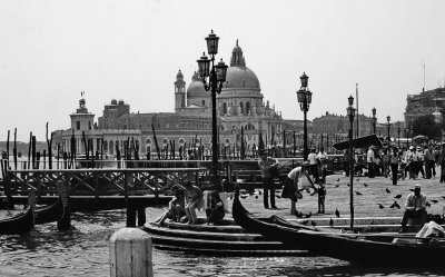 Venice 