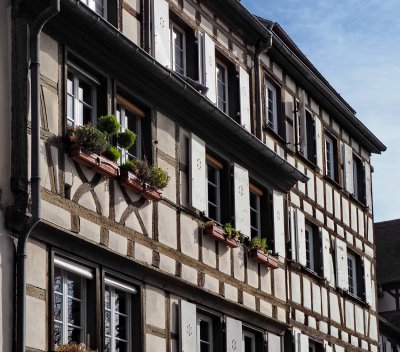 Colmar