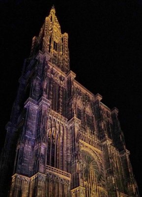 g12/39/1151039/3/170538163.fxuA4uSO.jpg