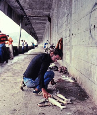 Fishing at the Colombo Sales bridge (approx. 1985); it was the only active bridge at the time. 