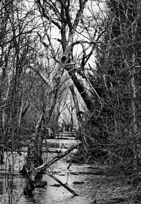 Akron, the Cuyahoga River park.