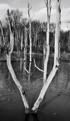 Akron, the Cuyahoga River park.