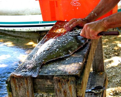 Ribeirão da Ilha; the tasty 'linguado' fish. 