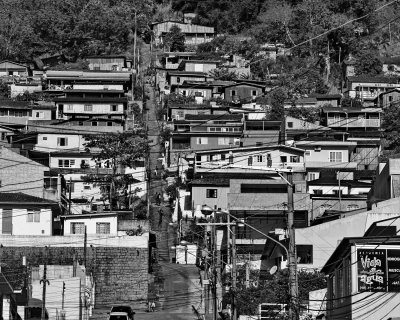 Rua Professor Anacleto Damiani (near Jos Mendes area).