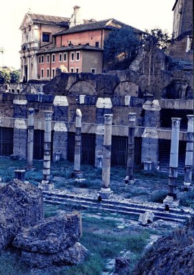 Rome; the ruins