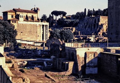 Rome; the ruins