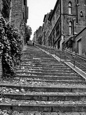 Lige; Montagne de Bueren (staircase with 374 steps).