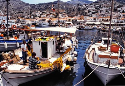 Greece; visiting an island, the harbor.