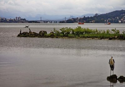 Praia da Costeira do Pirajuba; the Herclio Luz Bridge in the background. 