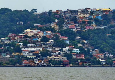 Surroundings of Praia da Costeira do Pirajuba (Jos Mendes area).