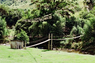 On the road Anitpolis - Alfredo Wagner (Canon EOS 1n and Kodak Pro-Image ISO 100).