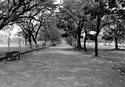 Parque da Rendeno, Porto Alegre; a source for photography at the time (and now). 