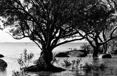 At Rio Guaiba, Porto Alegre. 