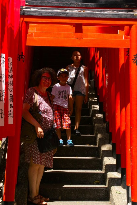 Senbon torii (San'nō Inari)