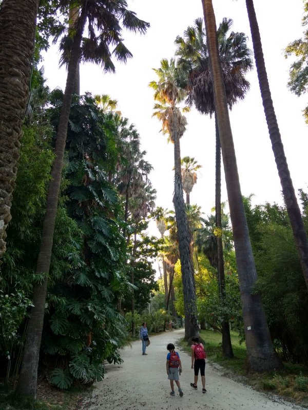 Jardim Botnico de Lisboa