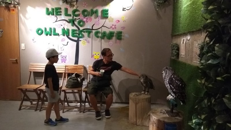Owl Nest Cafe