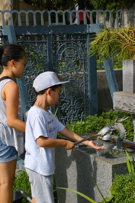 g12/39/263039/3/169827810.nZ78eoxk.jpg