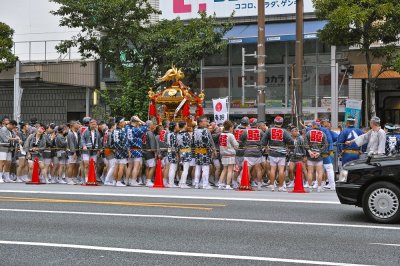 g12/39/263039/3/170989801.yDHBx1Fp.jpg
