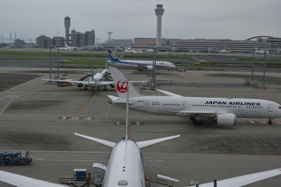g12/39/263039/3/171755534.jP3HCygO.jpg