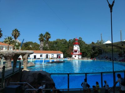 g12/39/263039/3/171820609.cXO0tVZG.jpg