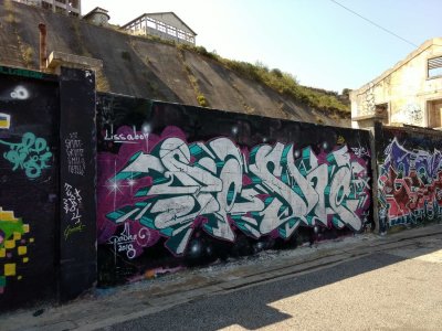 g12/39/263039/3/171821006.pvmLs8P5.jpg