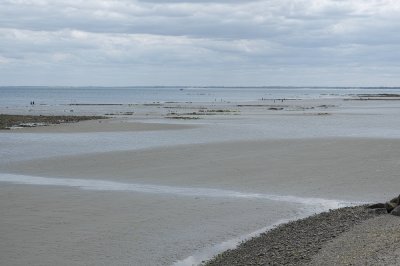 g12/39/263039/3/172842876.8nLksGQz.jpg