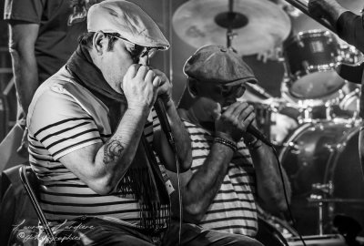GRESIBLUES21-2088-2.jpg