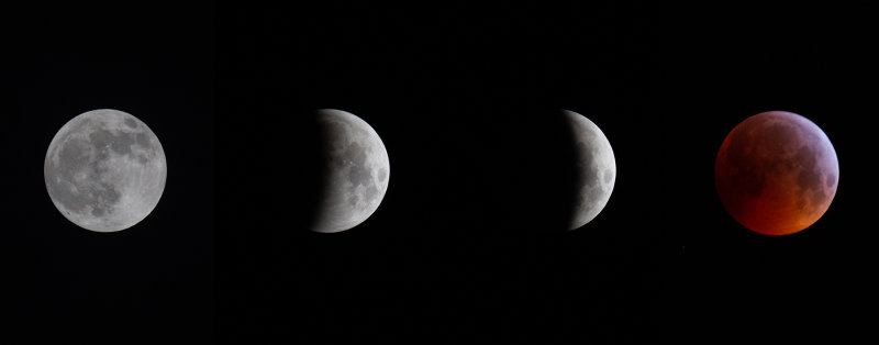 Blood Moon