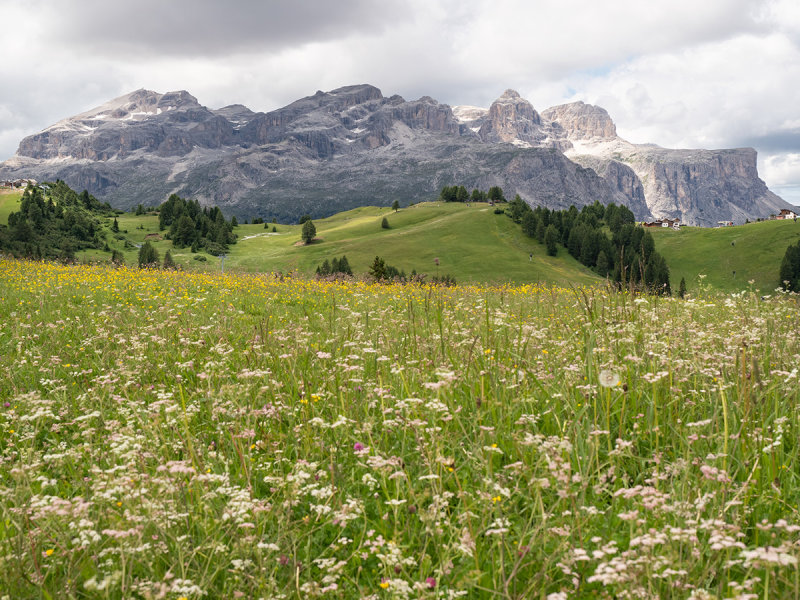Gruppo del Sella