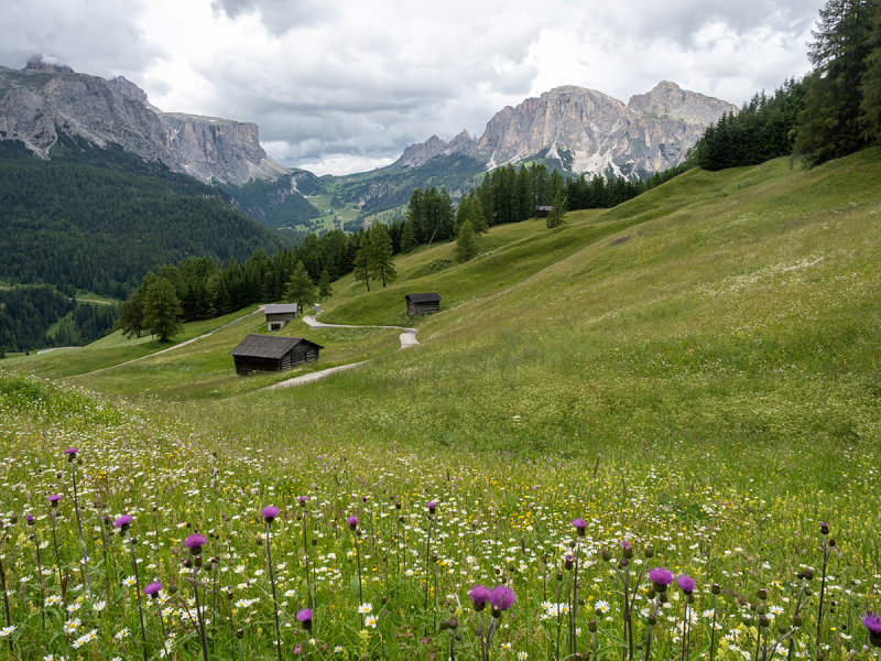 Alta Badia 