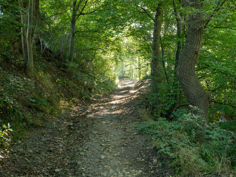 la Befve