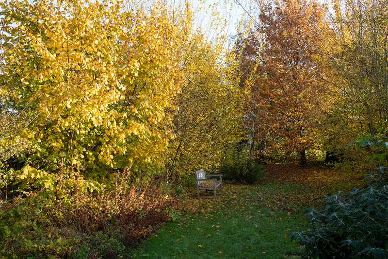 autumn imby