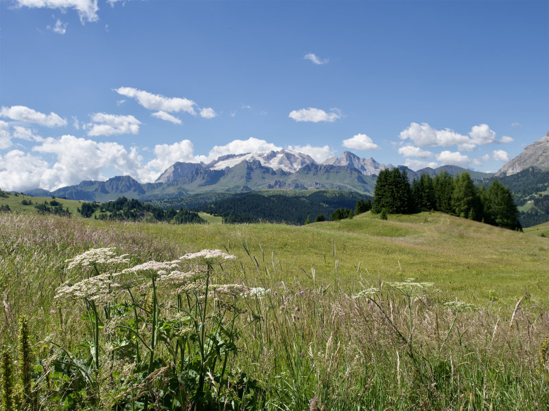 Alta Badia