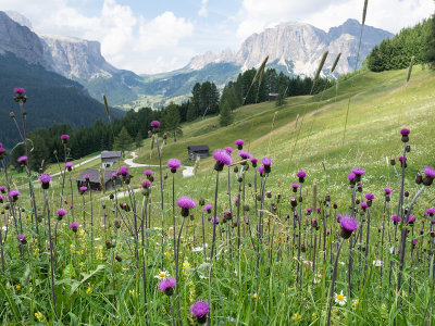 Alta Badia