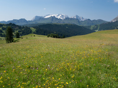 Alta Badia