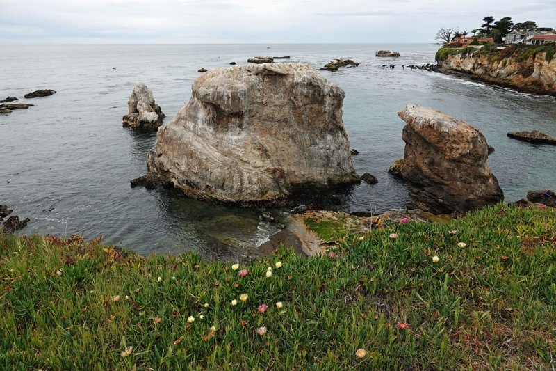  Pismo Beach 