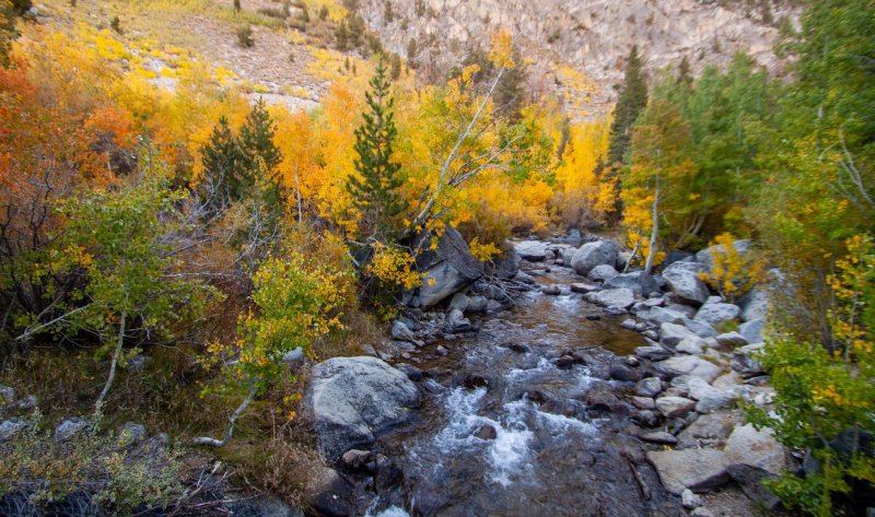Bishop Creek