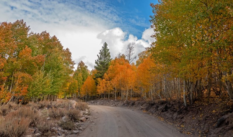 Lobdell Lake Rd