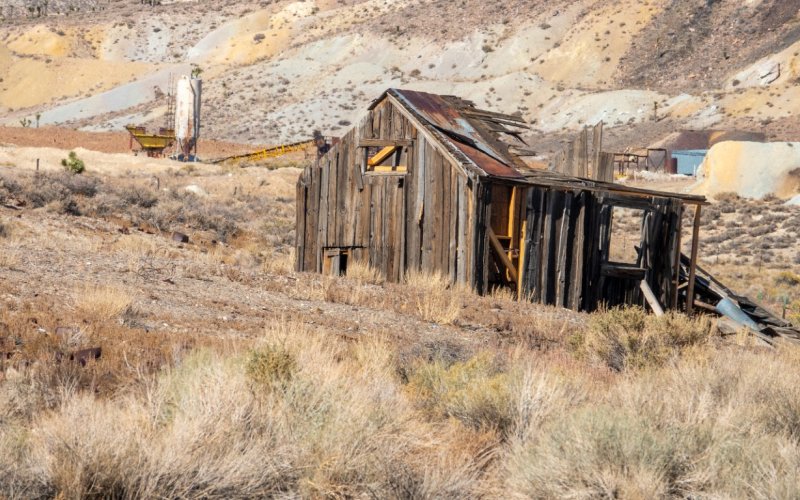 Goldfield