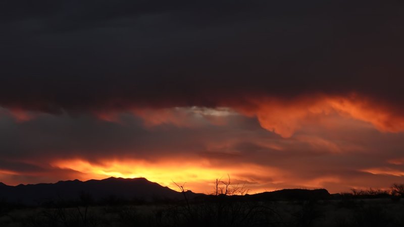 Sierra Vista