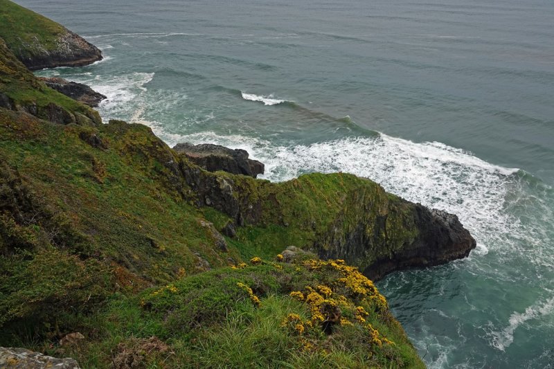  Heceta Head 