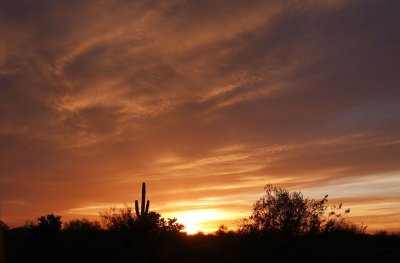  Apache Junction 