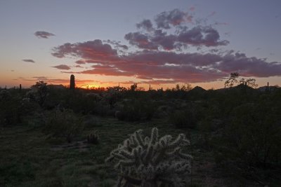  Apache Junction 