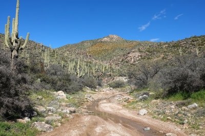  Hewitt Canyon 