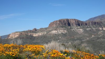  Apache Trail 