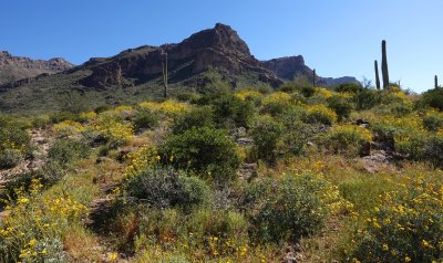  Hieroglyphic Trail