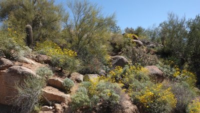 Central Arizona